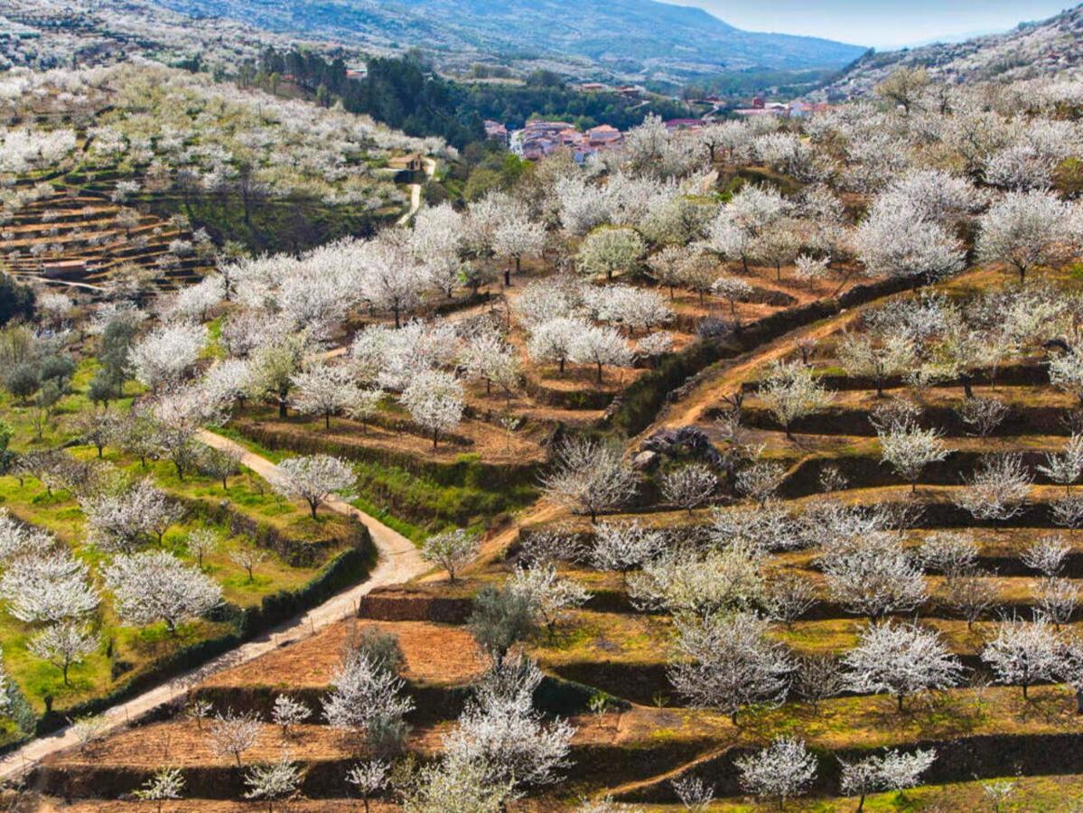 Casas Rurales Acebuche, Descubre el Otoño Mágico en el Valle de Ambroz Casas del Monte Esterno foto