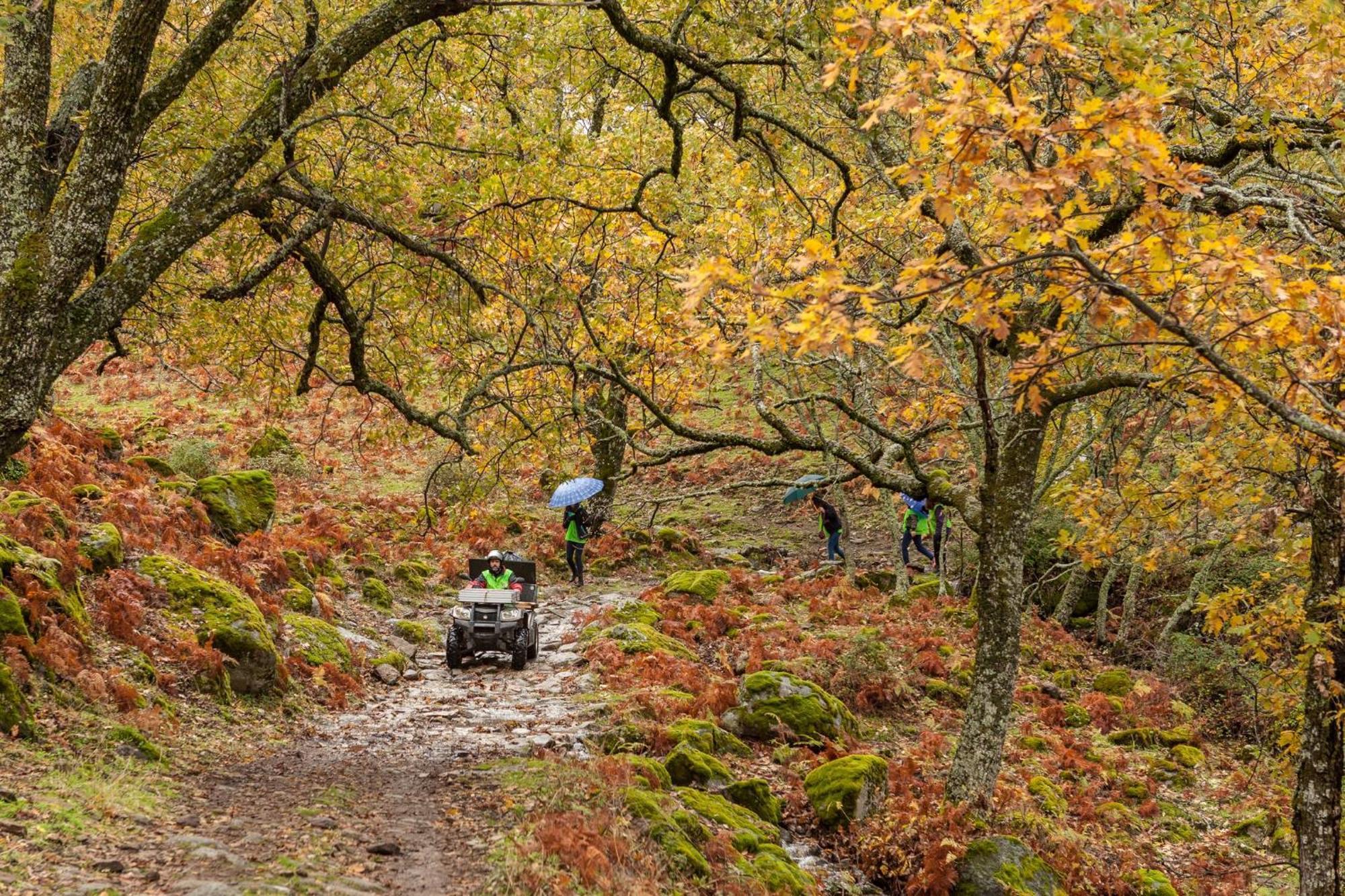 Casas Rurales Acebuche, Descubre el Otoño Mágico en el Valle de Ambroz Casas del Monte Esterno foto