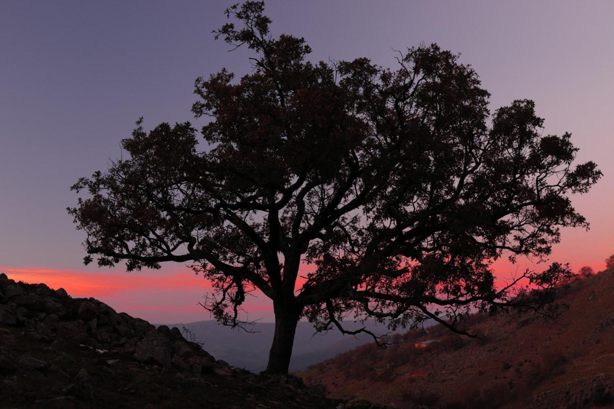Casas Rurales Acebuche, Descubre el Otoño Mágico en el Valle de Ambroz Casas del Monte Esterno foto