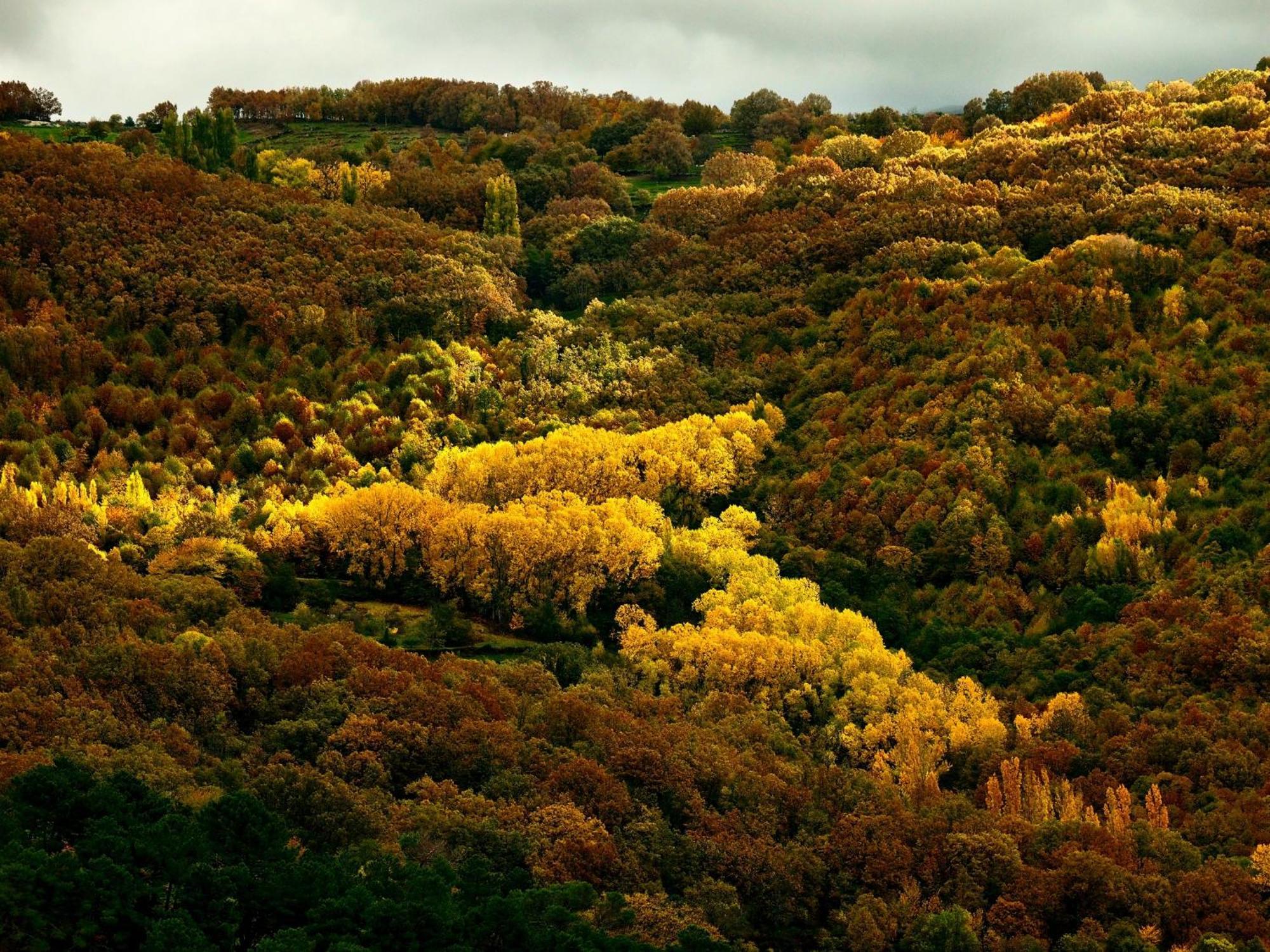 Casas Rurales Acebuche, Descubre el Otoño Mágico en el Valle de Ambroz Casas del Monte Esterno foto