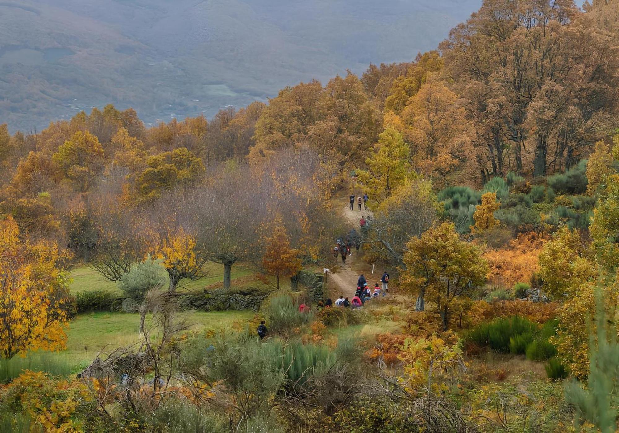 Casas Rurales Acebuche, Descubre el Otoño Mágico en el Valle de Ambroz Casas del Monte Esterno foto